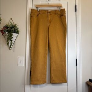 Dress Barn Caramel Brown Colored Denim